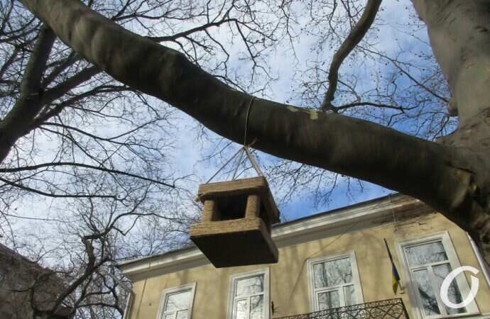 Птичий городок4