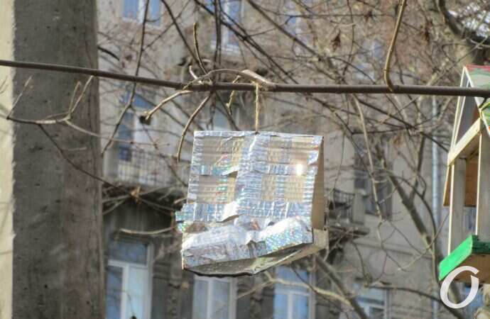 Птичий городок5