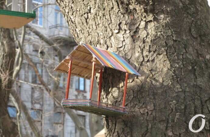 Птичий городок6