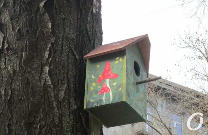 Птичий городок8