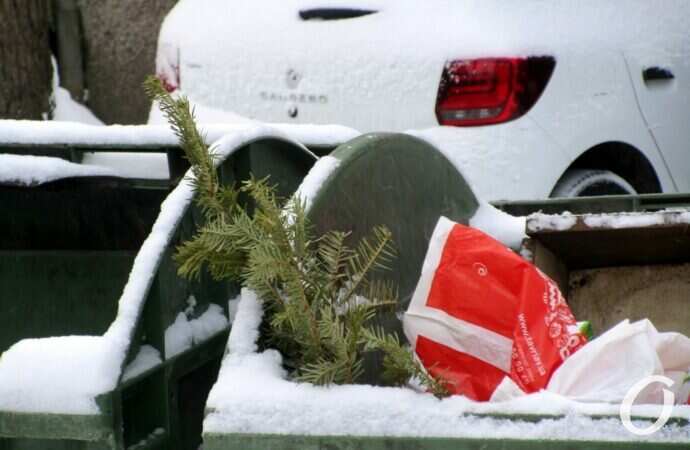 Отгулявшие елки7