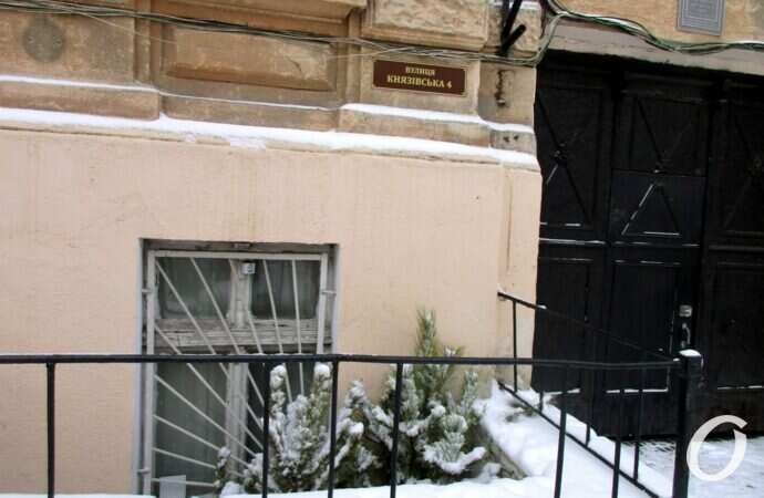 Отгулявшие елки8