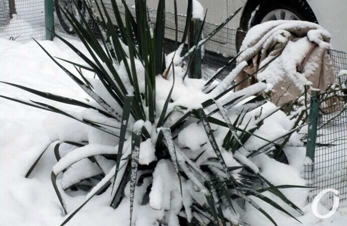 Январь в центре Оессы19