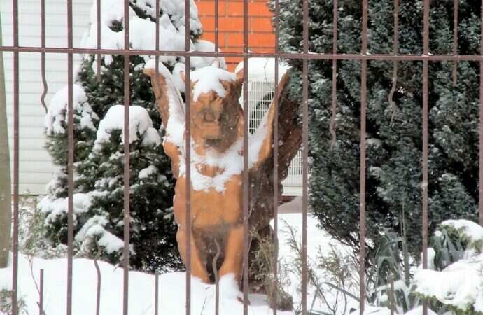 Январь в центре Одессы24