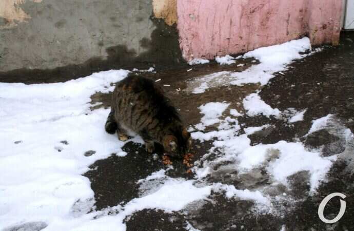 Январь в центре Оессы31