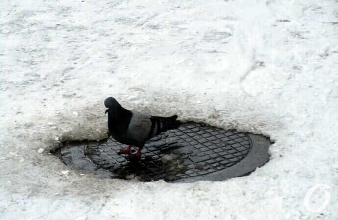 Январь в центре Оессы34