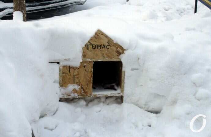 Январь в центре Одессы44