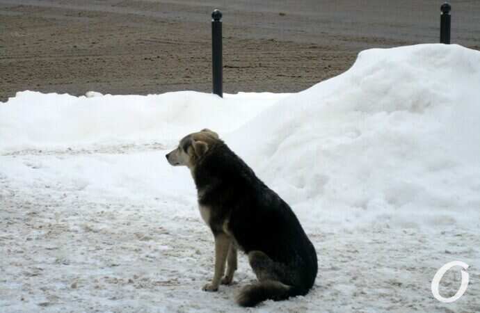 Январь в центре Одессы46