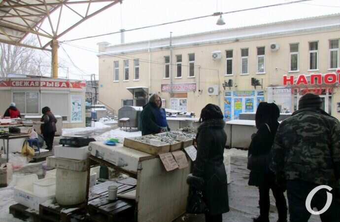 Январский Привоз15