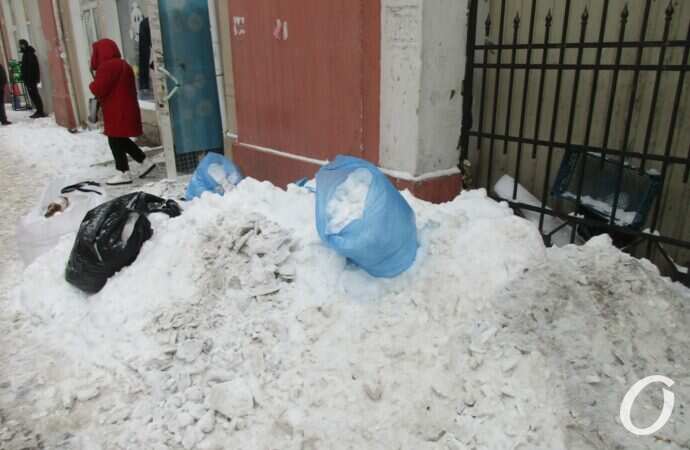 Январский Привоз18