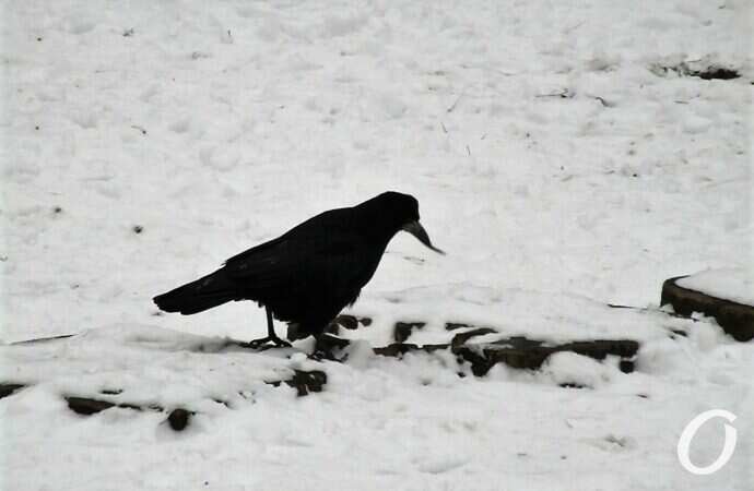 Сквер на 7-й станции Фонтана10