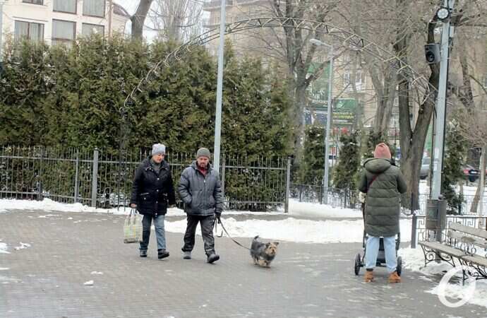 Сквер на 7-й станции Фонтана13