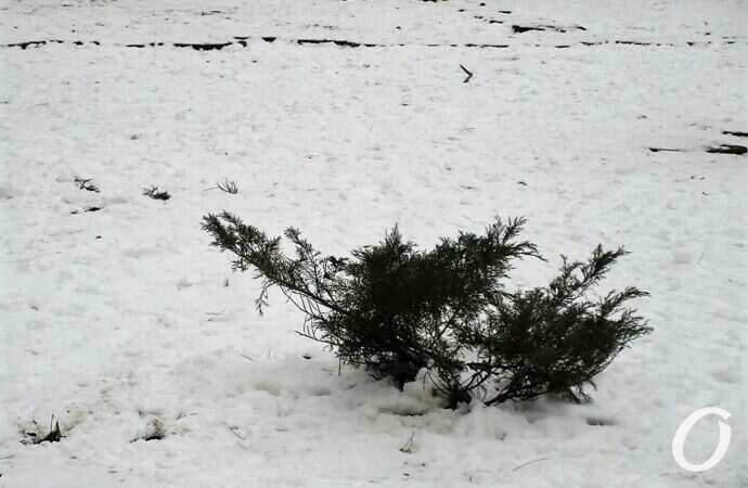 Сквер на 7-й станции Фонтана21