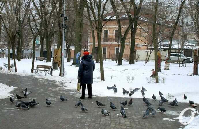 Сквер на 7-й станции Фонтана26