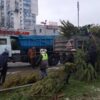 Одесситам рассказали про «отравленные» елки на Котовского