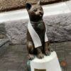 В Одессе пропал кот-джентльмен — его могли похитить или разрушить