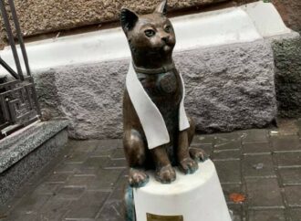 В Одесі зник кіт-джентльмен – його могли викрасти або зруйнувати