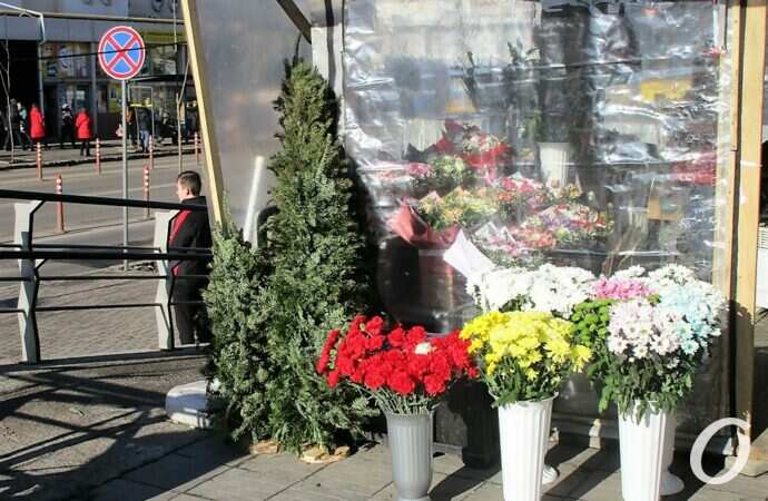 Четвертое января по-одесски: у Привоза продают живые новогодние елки (фотофакт)