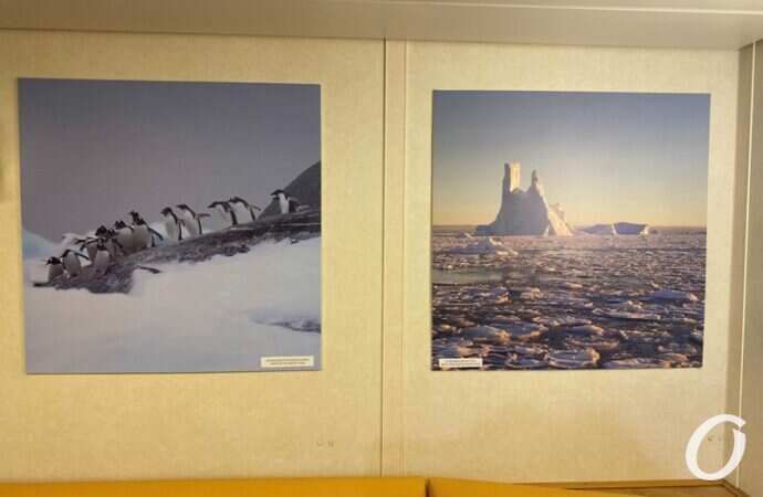 Ноосфера, кают-компания5