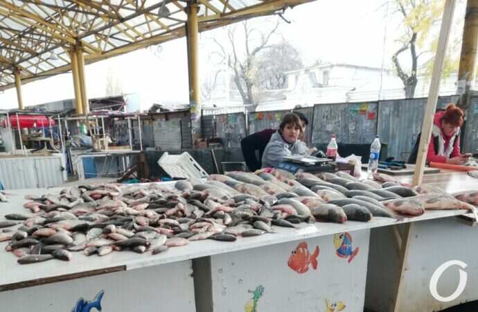 рыбные ряды на Привозе5