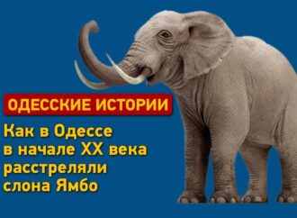 Одесские истории: как в Одессе расстреляли слона Ямбо
