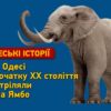 Одеські історії: як в Одесі розстріляли слона Ямбо