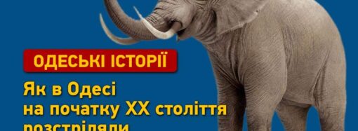 Одеські історії: як в Одесі розстріляли слона Ямбо