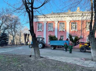 В Одесі хочуть посадити близько 1600 сосон біля шкіл та дитсадків (фото)