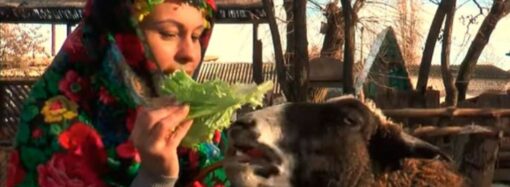 В одесском зоопарке сняли добрый клип к Рождеству (видео)