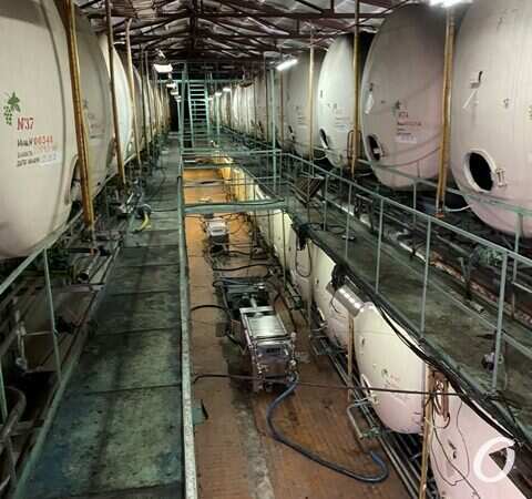 завод шампанских вин4