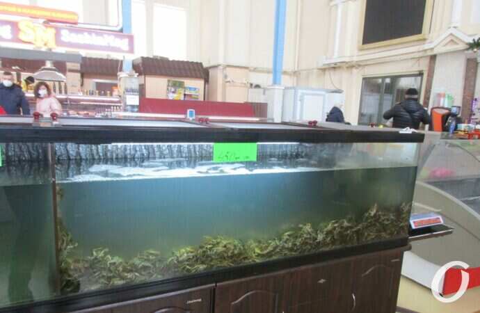 Новый базар18