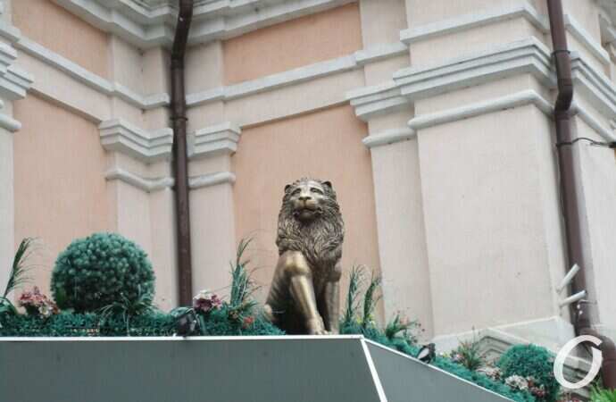 Новый базар27