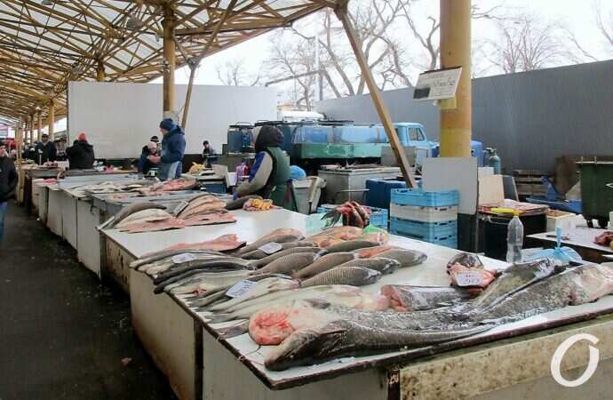 Привоз, рыба3