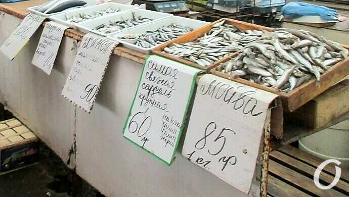 Привоз, рыба5