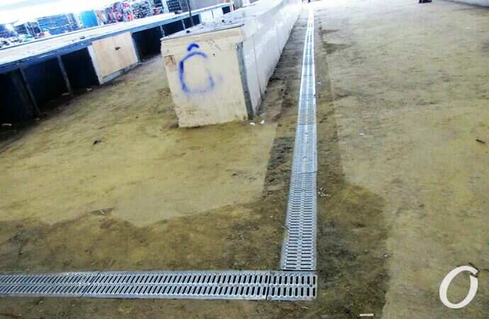 Привоз, рыба7