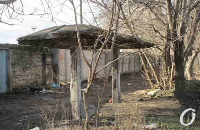 Остановка-гриб на Чернышевского11