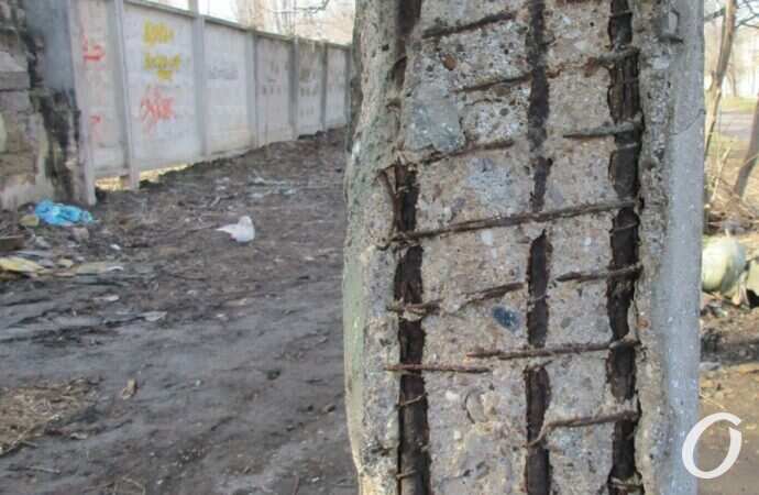 Остановка-гриб на Чернышевского6