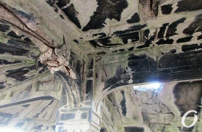 Остановка-гриб на Чернышевского7