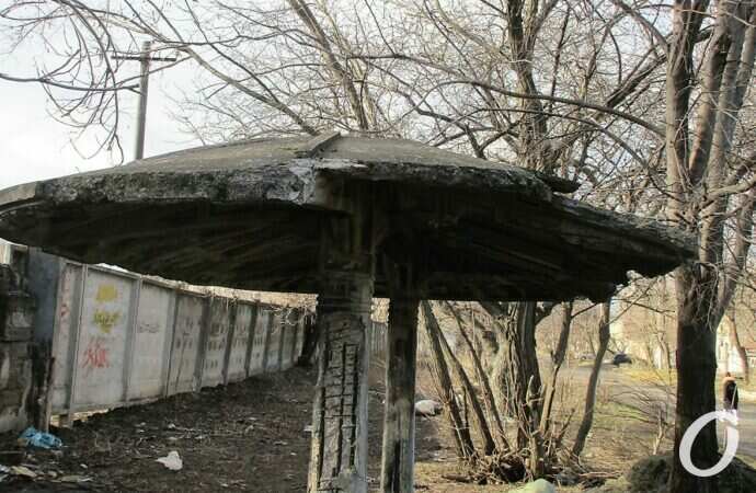 Остановка-гриб на Чернышевского9