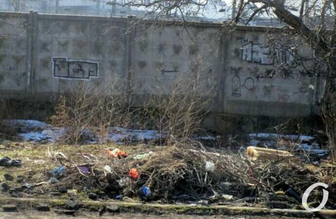 улица Чернышевского17