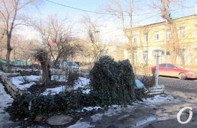 улица Чернышевского25