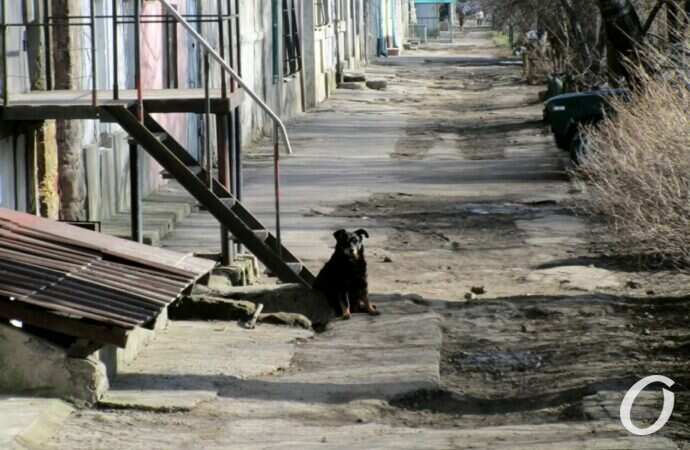 улица Чернышевского30