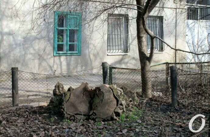 улица Чернышевского31