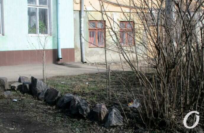 улица Чернышевского33