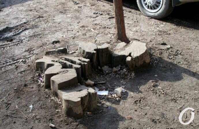 улица Чернышевского37