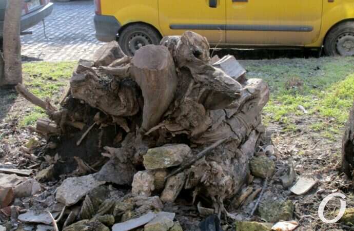 улица Чернышевского39