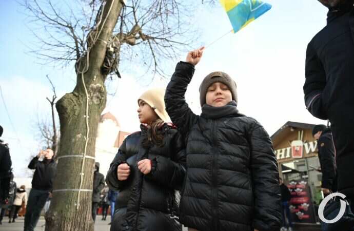 День единства в Одессе15