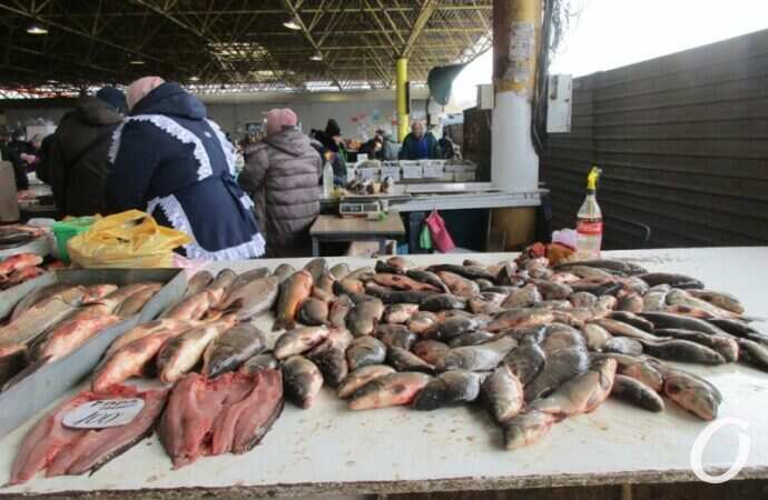 Рыбные ряды Привоза11