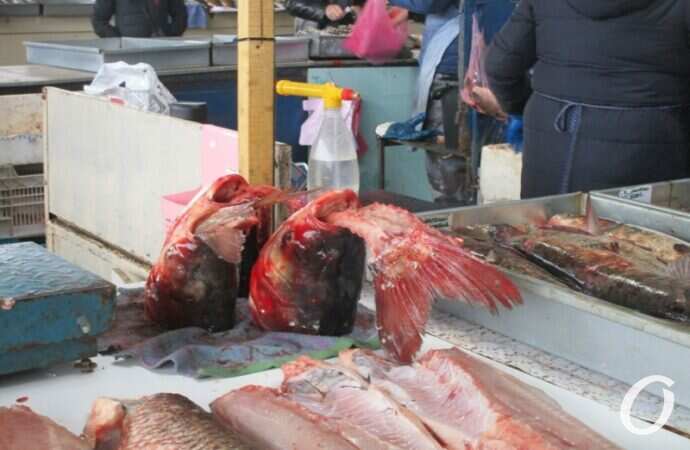 Рыбные ряды Привоза14