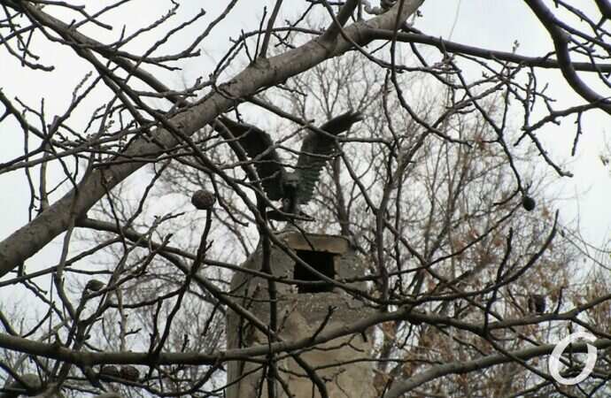 Вокзальный переулок13